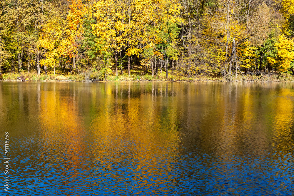 Fototapeta premium Autumn colors on a forest near a lake