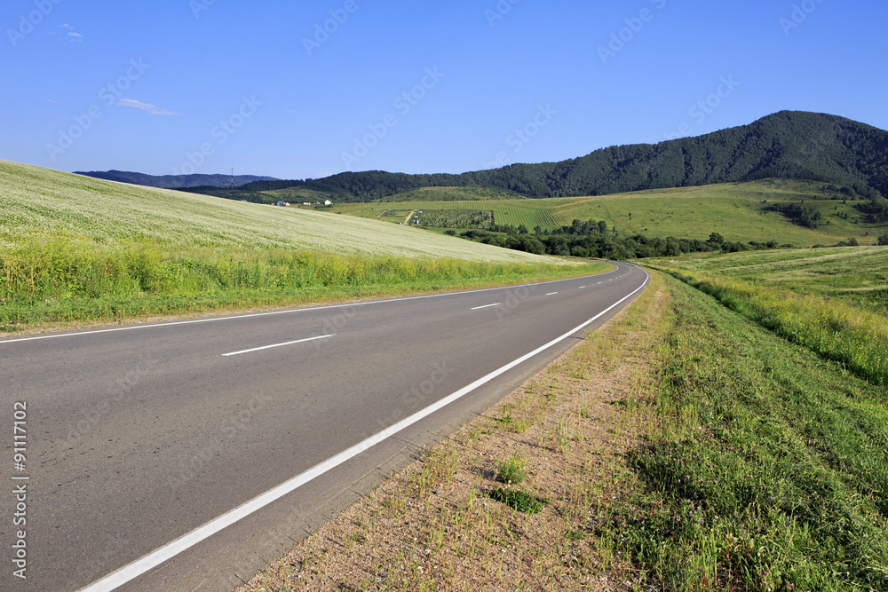 Road among farm fields. Road among farm fields.