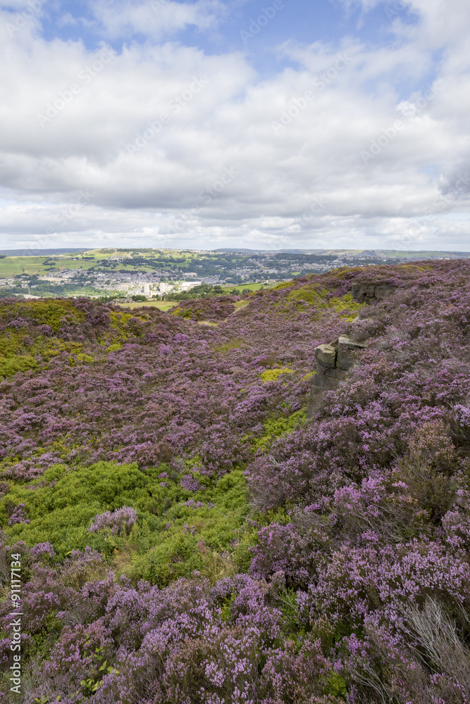 Fototapeta premium Norland, Halifax, West Yorkshire, UK 5th September, 2015.
