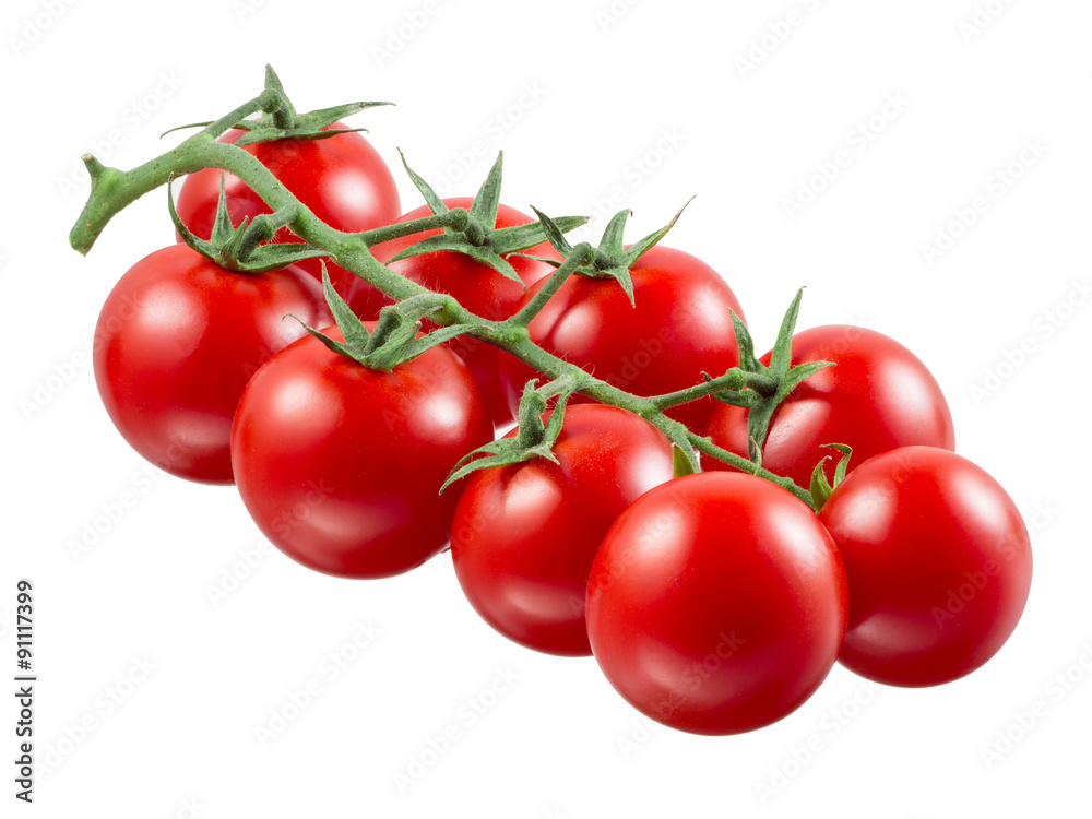 Cherry tomato. Branch isolated on white