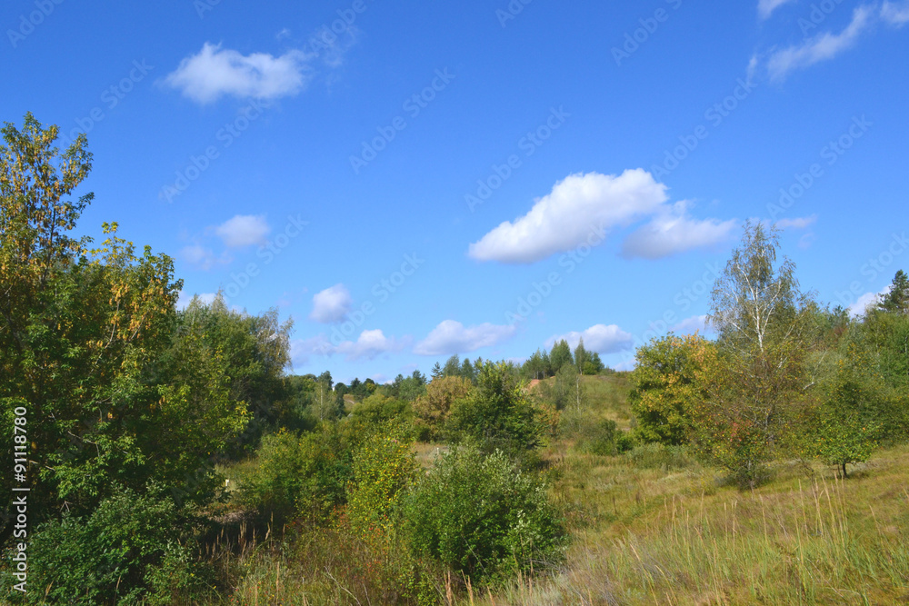 Obraz premium пейзаж осень в лесу желто-зеленная листва на деревья красивое небо 