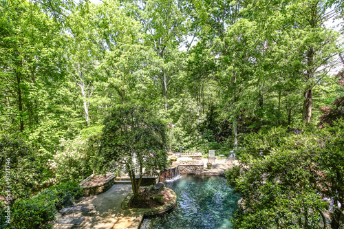 Garden Pond from Above