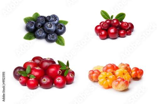 Fototapeta Naklejka Na Ścianę i Meble -  Wild northern berries