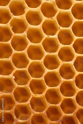Empty honeycomb