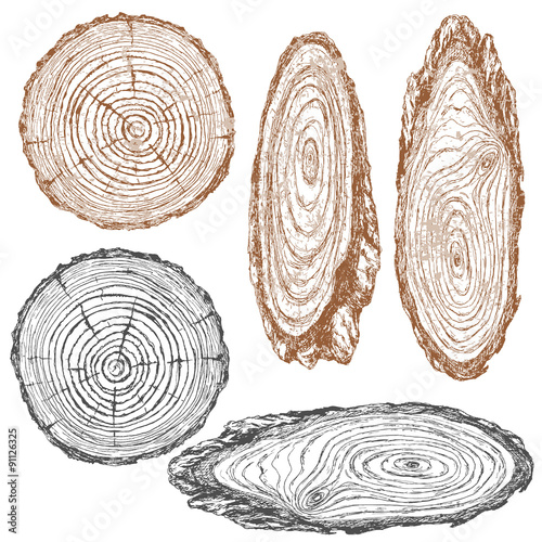 Wood texture of trunk tree sketch
