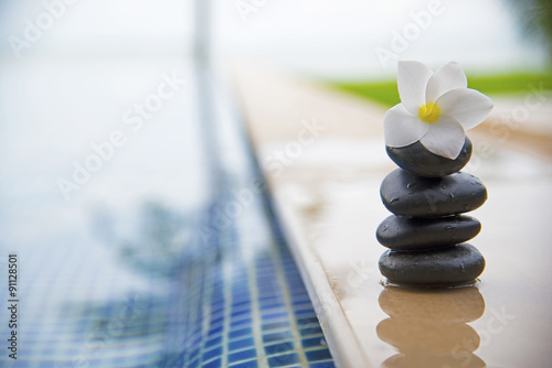 Tranquility scene of peaceful life