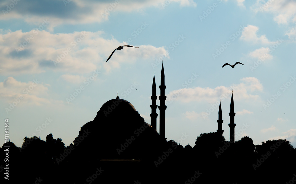 Suleymaniye Mosque (Süleymaniye Cami)