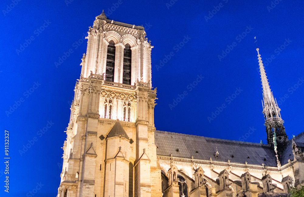 Notre Dame Cathedral at night, Paris