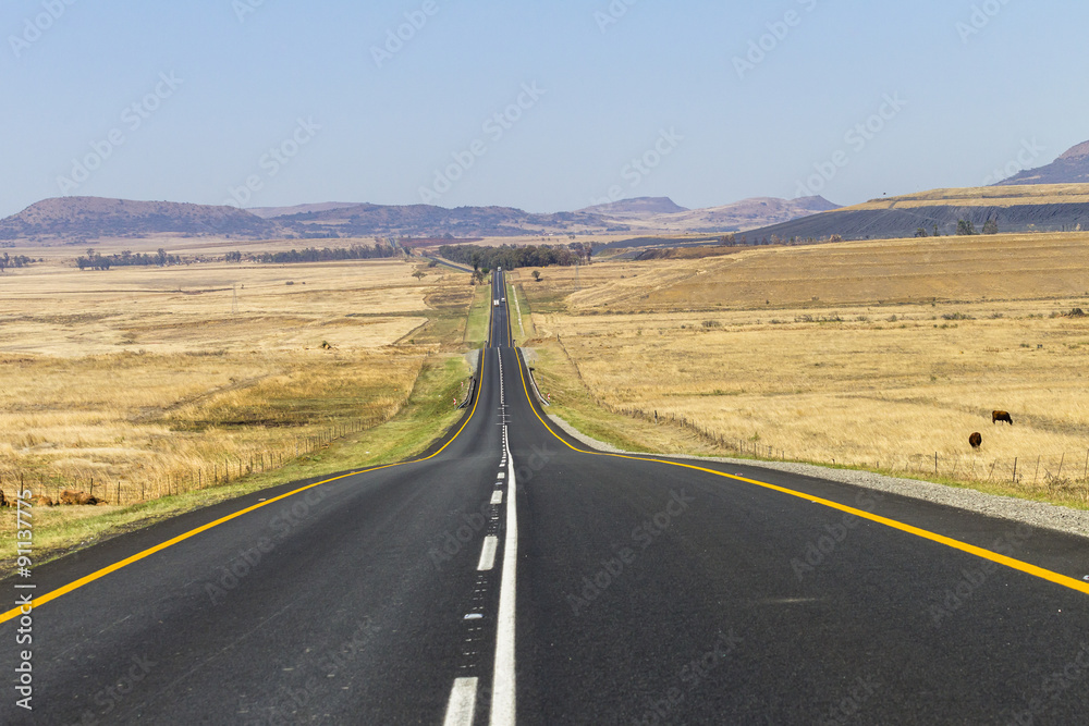 Road Straight highway through rural countryside landscape