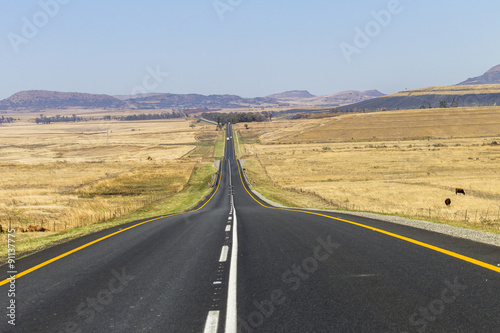 Road Straight highway through rural countryside landscape