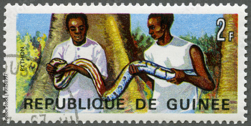 GUINEA - 1967: shows Men holding rock python