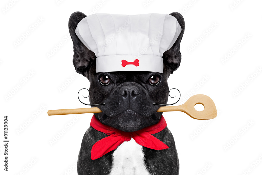 Chef Koch Hund Stock Photo | Adobe Stock