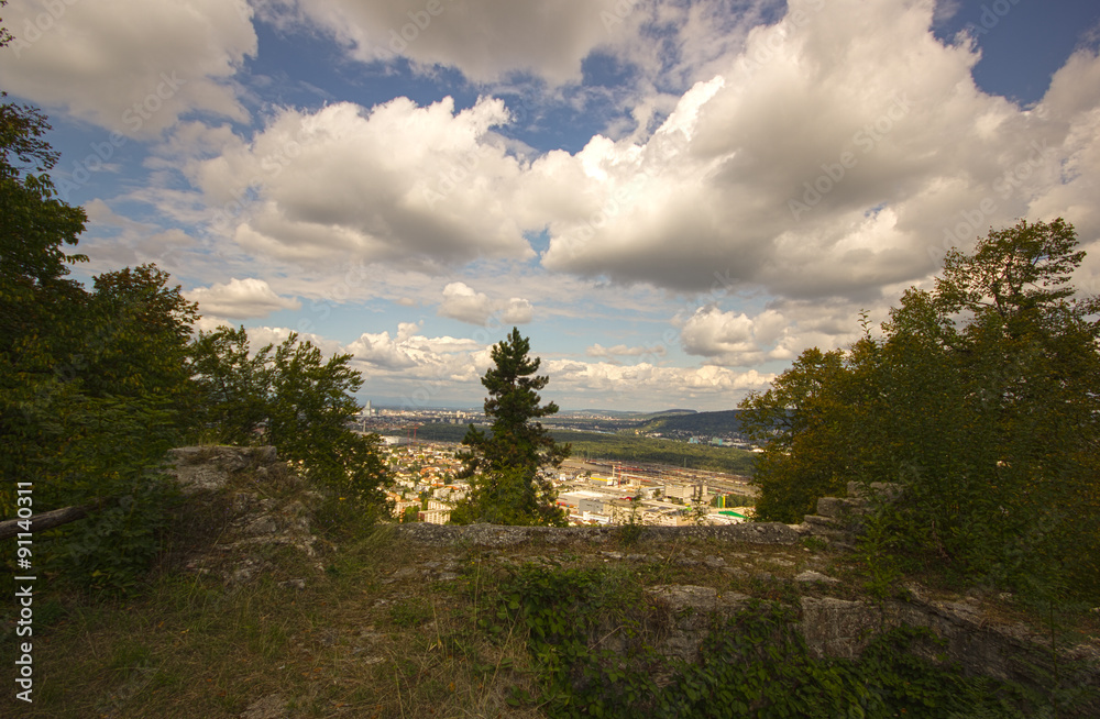 Ruine der vorderen Wartenberg in Muttenz