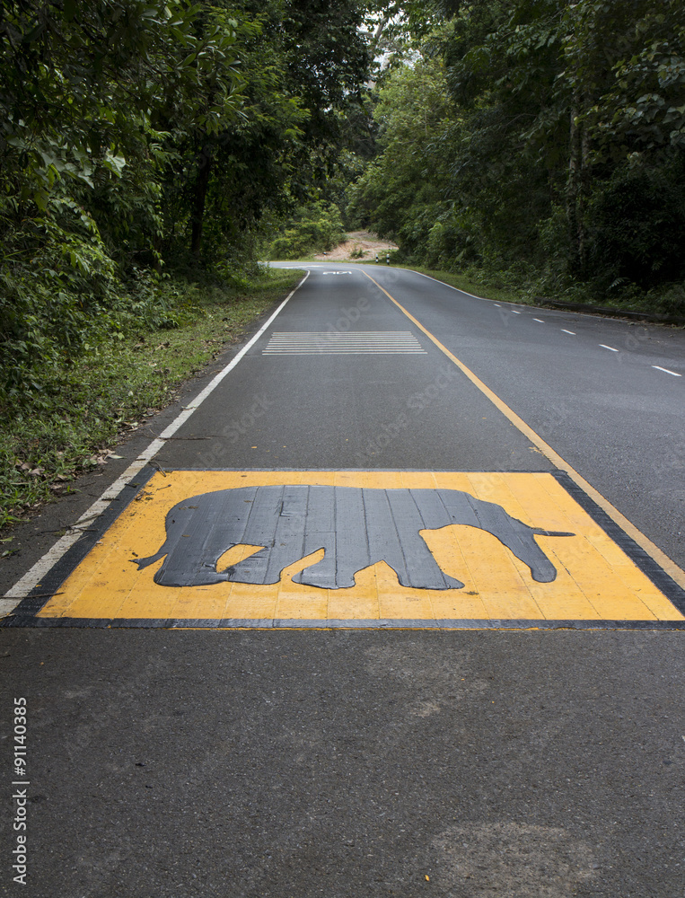 Fototapeta premium Elephant warning sign painted on the road surface in National Park of Thailand