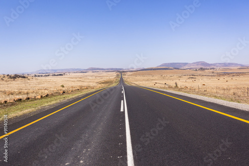 Road Straight highway through rural countryside landscape