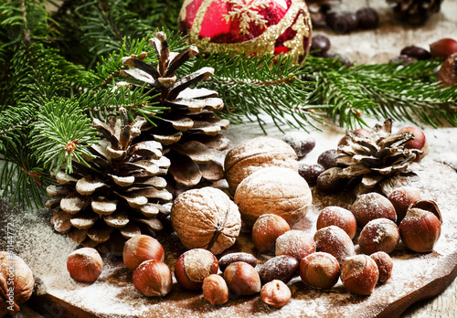Christmas background with walnuts, hazelnuts and fir branches an
