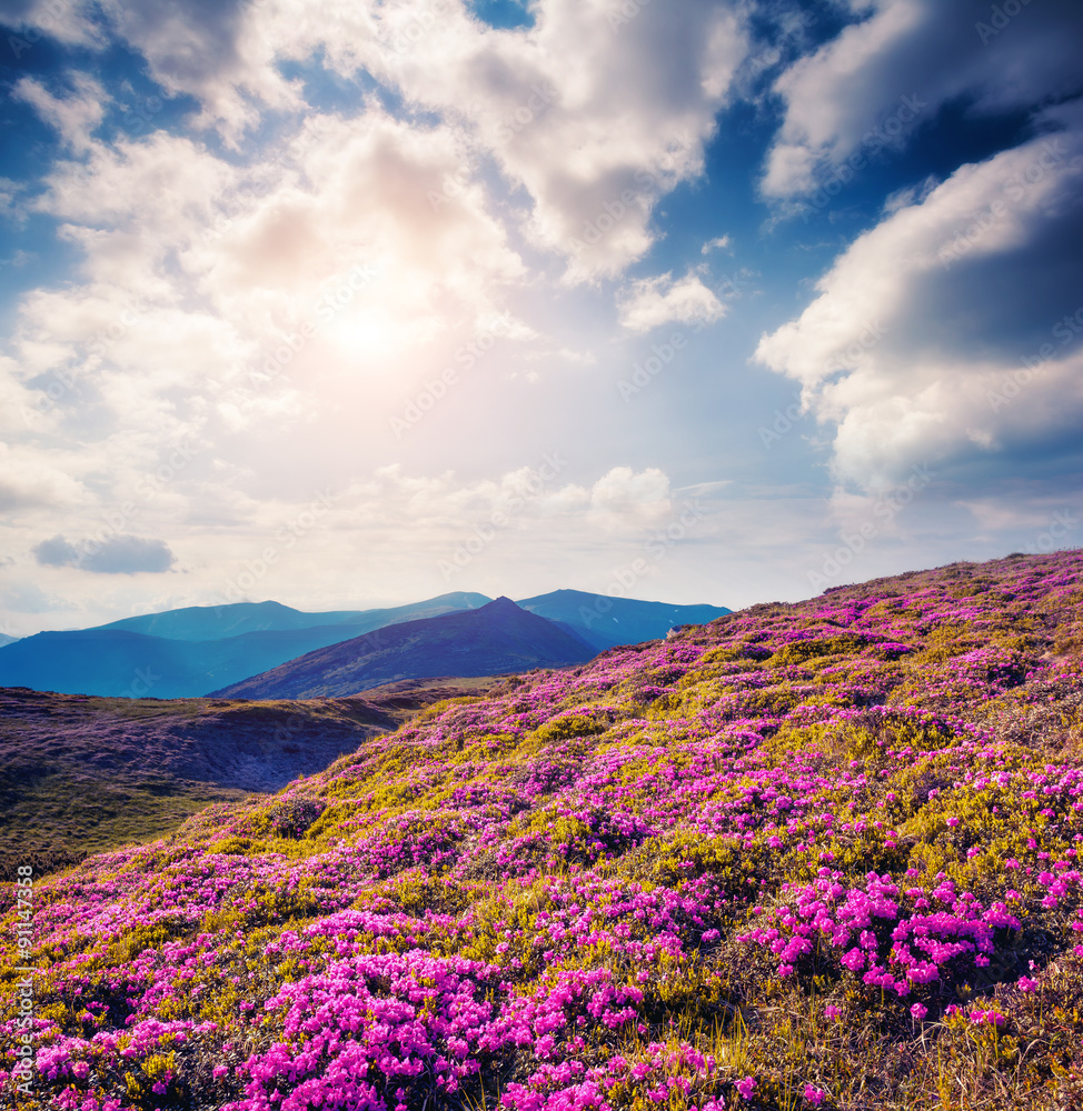 Obraz premium magical mountains landscape