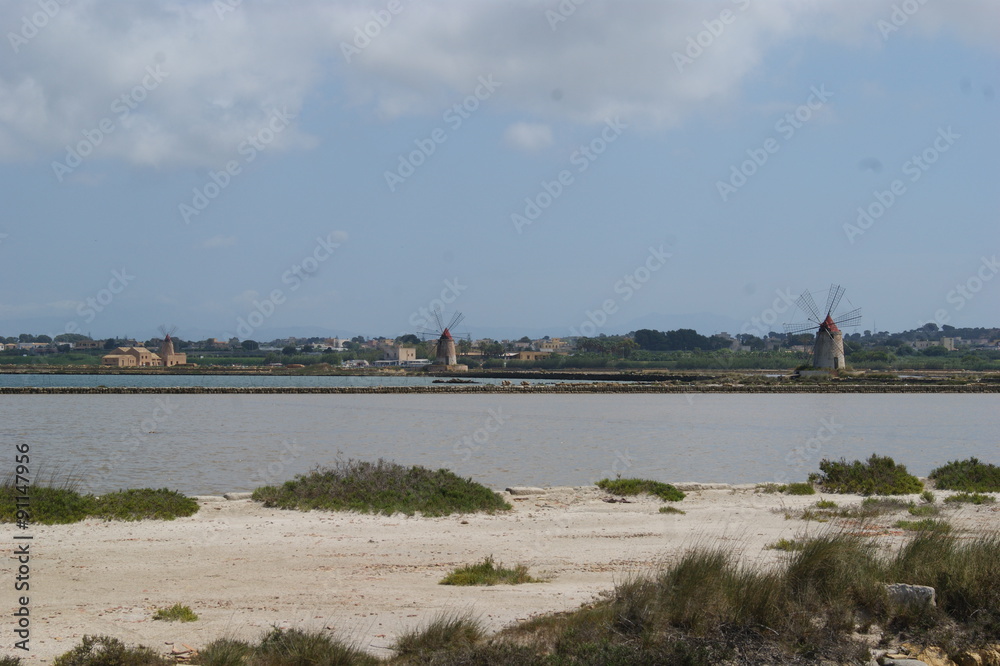 Fototapeta premium saline