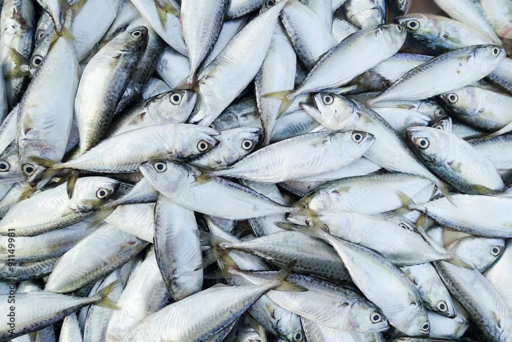 Fototapeta premium fish in market for sell