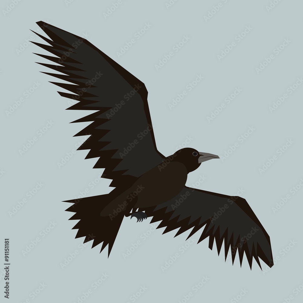 Obraz premium Illustration flying black crow on gray background
