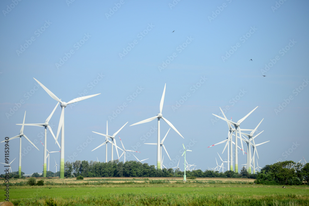 Fototapeta premium Windräder