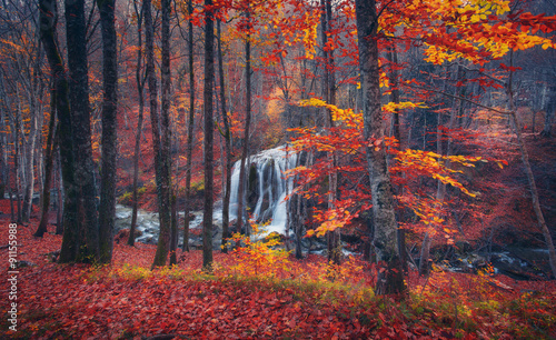 Beautiful waterfall in autu...