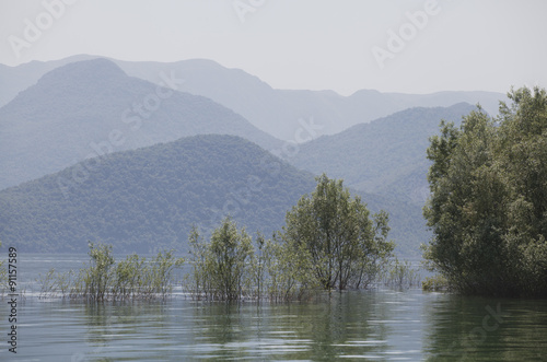 Skadar lake, Montenegro photo