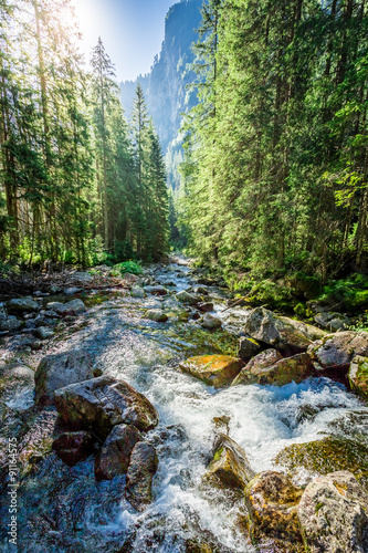 Wallpaper Mural Mountain stream flowing out of the mountains Torontodigital.ca