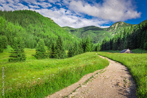 Beautiful valley in the Tatra Mountains at sunset