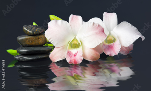 orchid and hot stones Wellness and Spa Image,dark background
