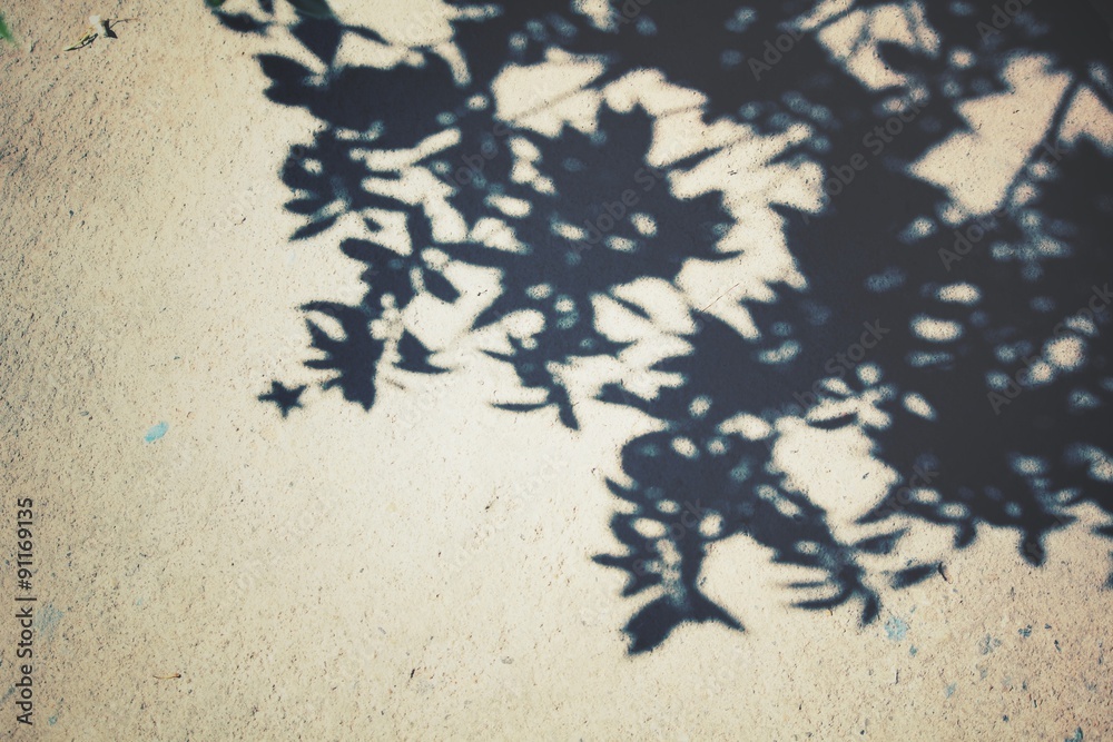 Leaves with shadow
