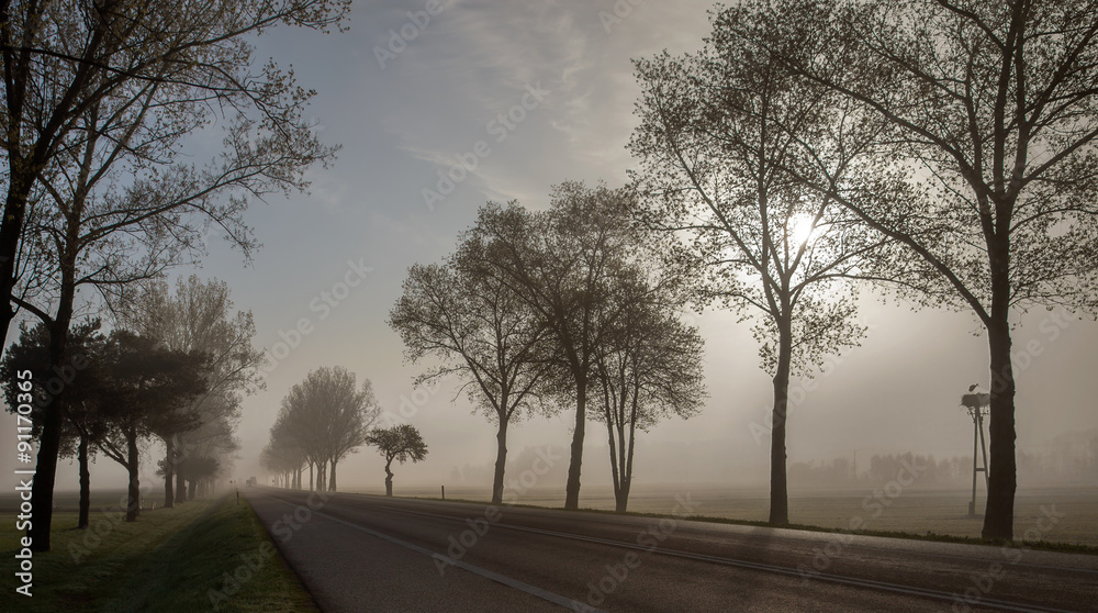 A early moning road in springtime A early moning road in springtime