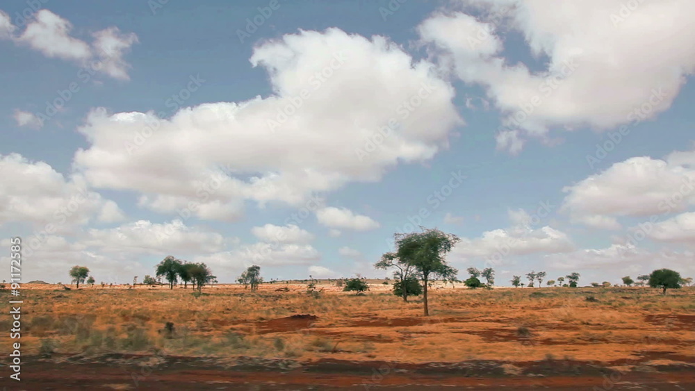 Driving a car and shooting video from the back seat - beautiful view of wild landscapes
Driving a car and shooting video from the back seat - beautiful view of wild landscapes