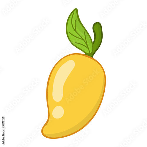 mango fruit and leaf