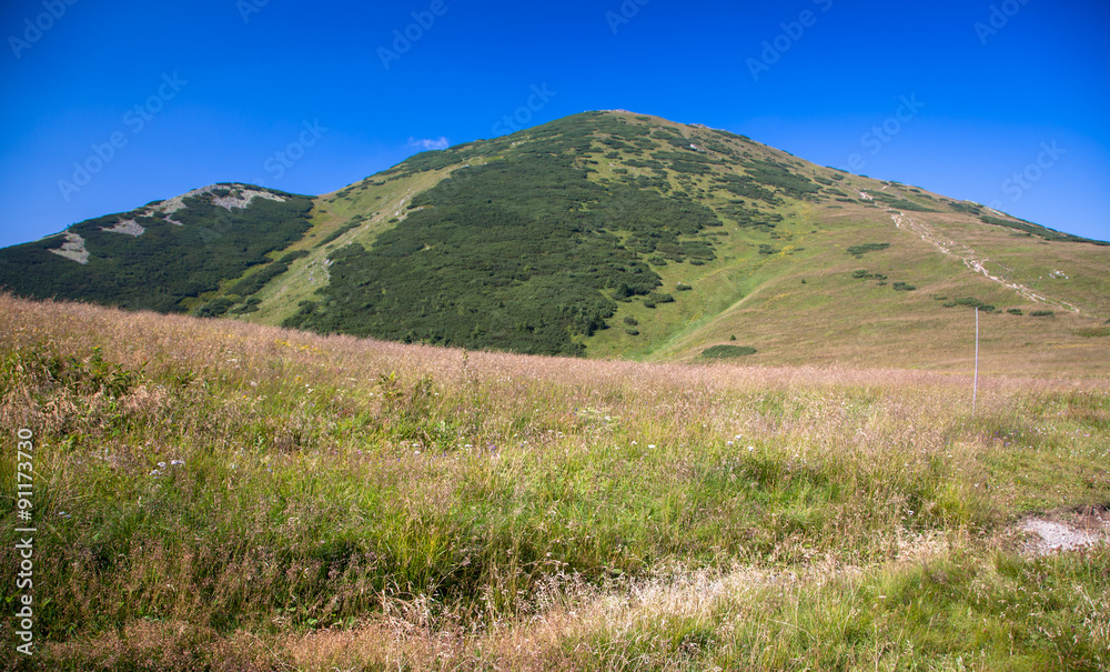 Naklejka premium Hill - Velky Krivan - in range Mala Fatra, Slovakia