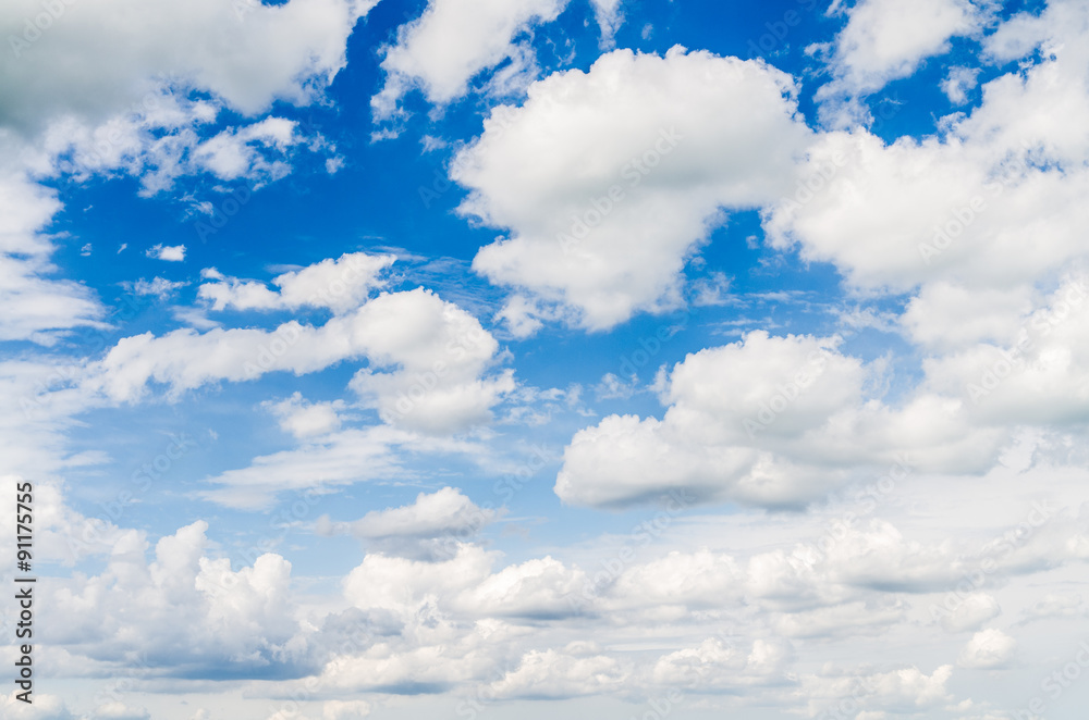 Fototapeta premium blue sky with cloud closeup