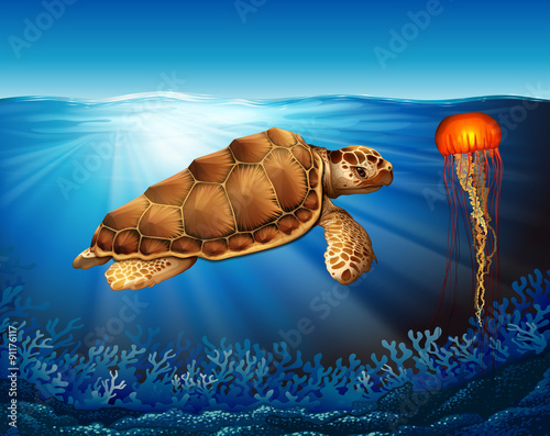 Turtle and jelly fish swimming in the sea