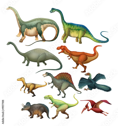 Fototapeta Naklejka Na Ścianę i Meble -  Different type of dinosaurs