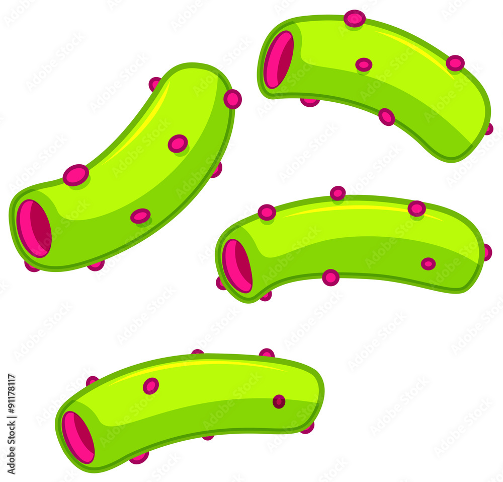 Naklejka premium Green tube bacteria on white