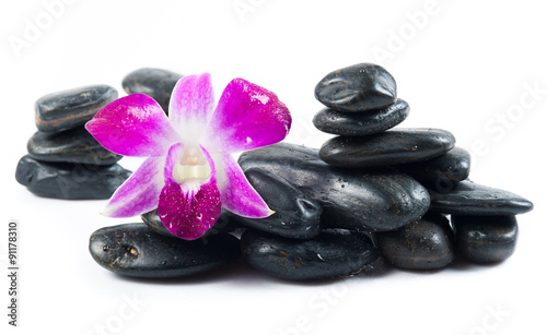 stones and orchid on the white background