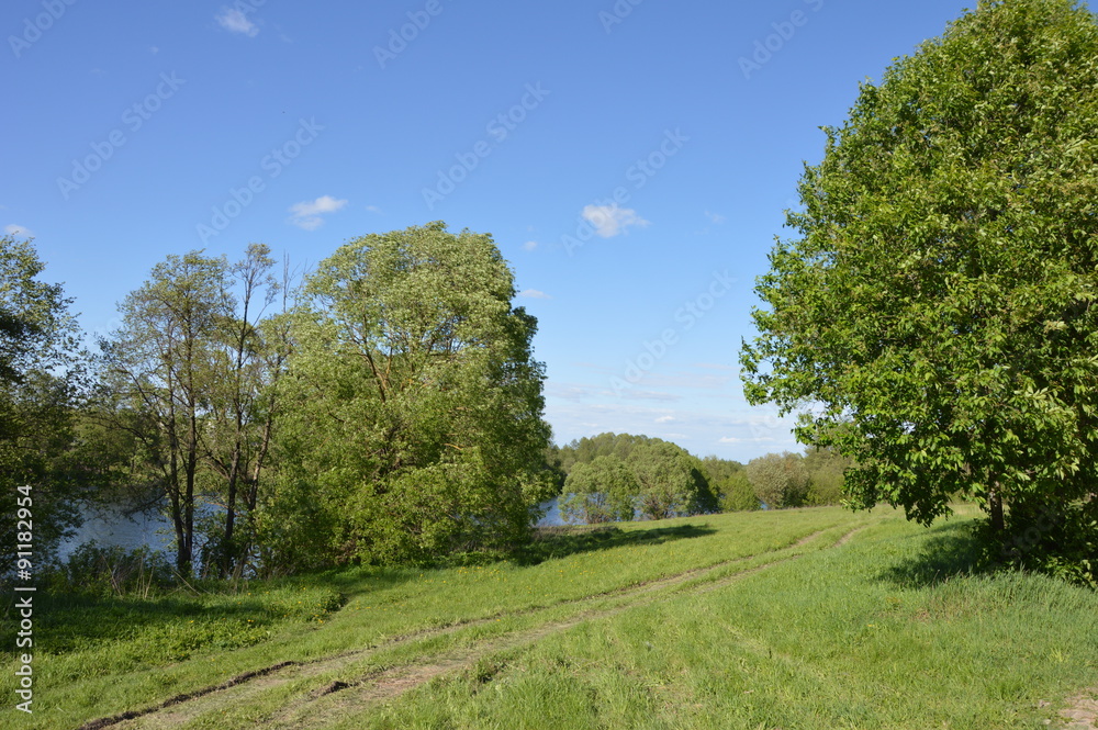 Obraz premium Брянская весна