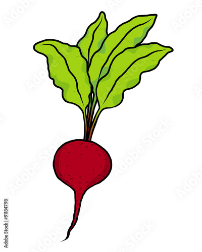 beatroot