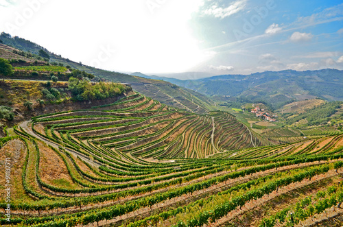 Douro Valley - Weinbau-Terrassen bei Peso da Regua  Portugal 