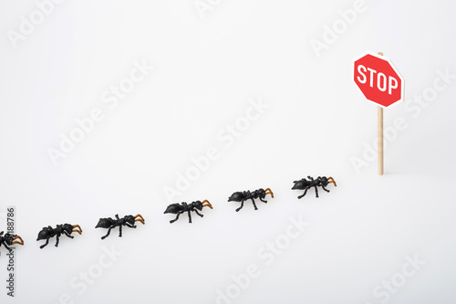 Ameisen und Stopschild