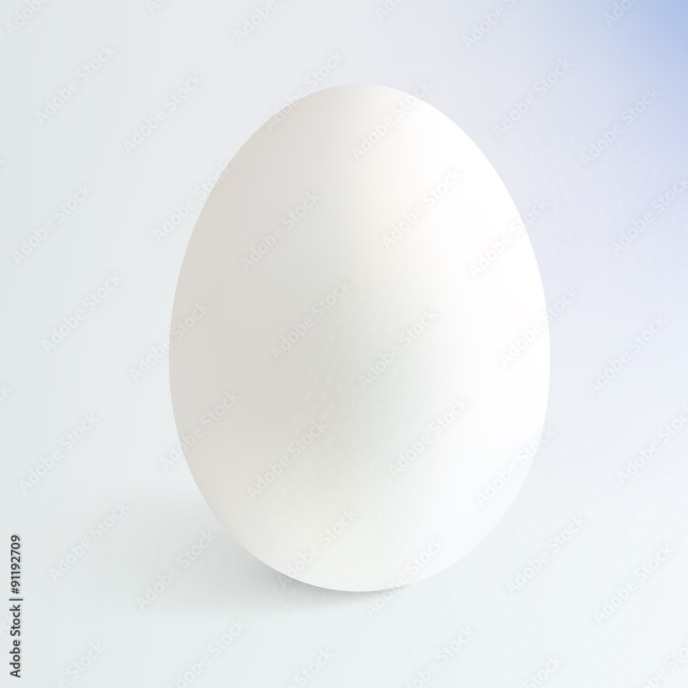 White vector realistic egg with shadow