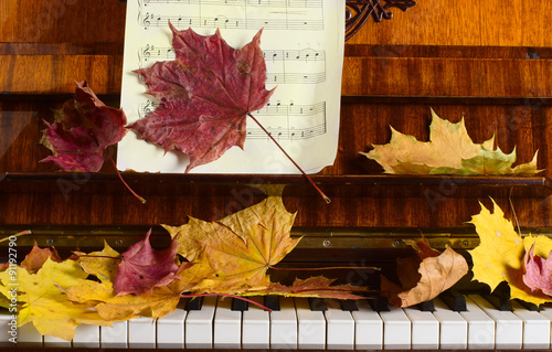 maple leaves on a piano