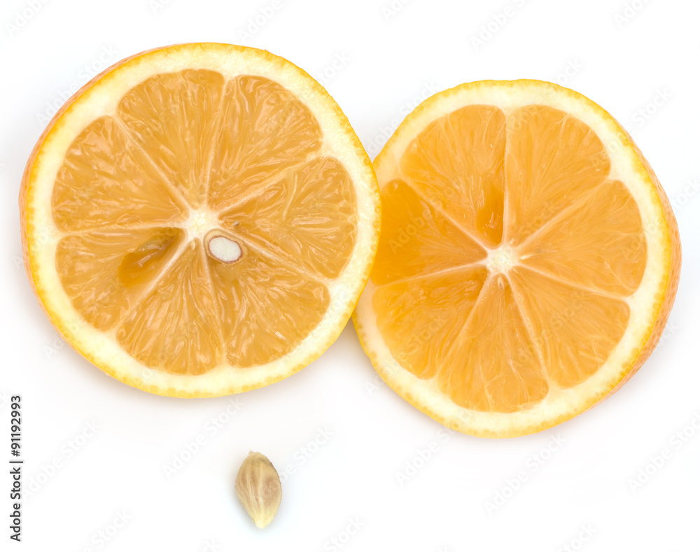 Lemon on a white background Lemon on a white background