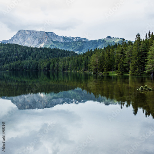 Mountain lake shore and coniferous forest  Durmitor  Montenegro.