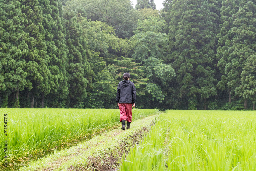 田んぼの様子を見る女性