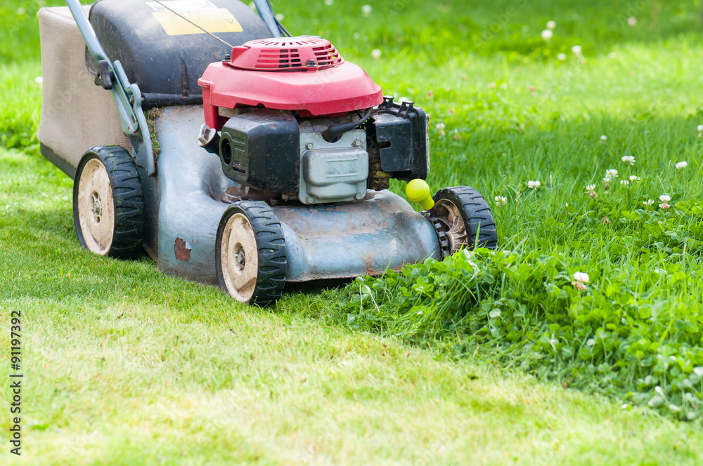 lawn mowing lawn mowing